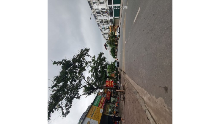 Bán đất Trâu Quỳ – Gia Lâm – Hà Nội 121m2 mặt đường 12m. Lh 0989894845